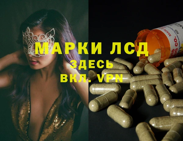 эйфоретик Магас