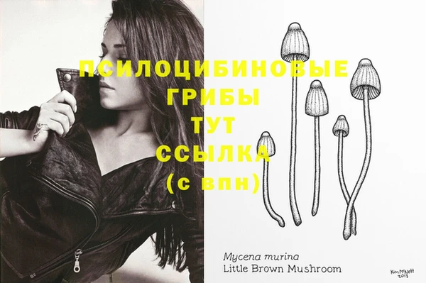 эйфоретик Магас