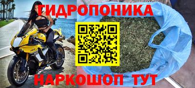 мескалин Камышлов