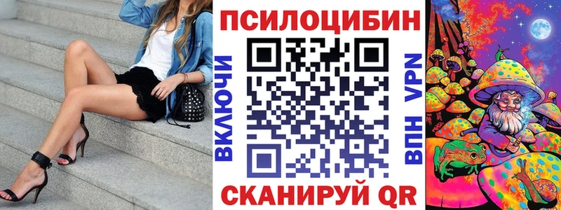 купить закладку  Новочеркасск  Галлюциногенные грибы GOLDEN TEACHER 