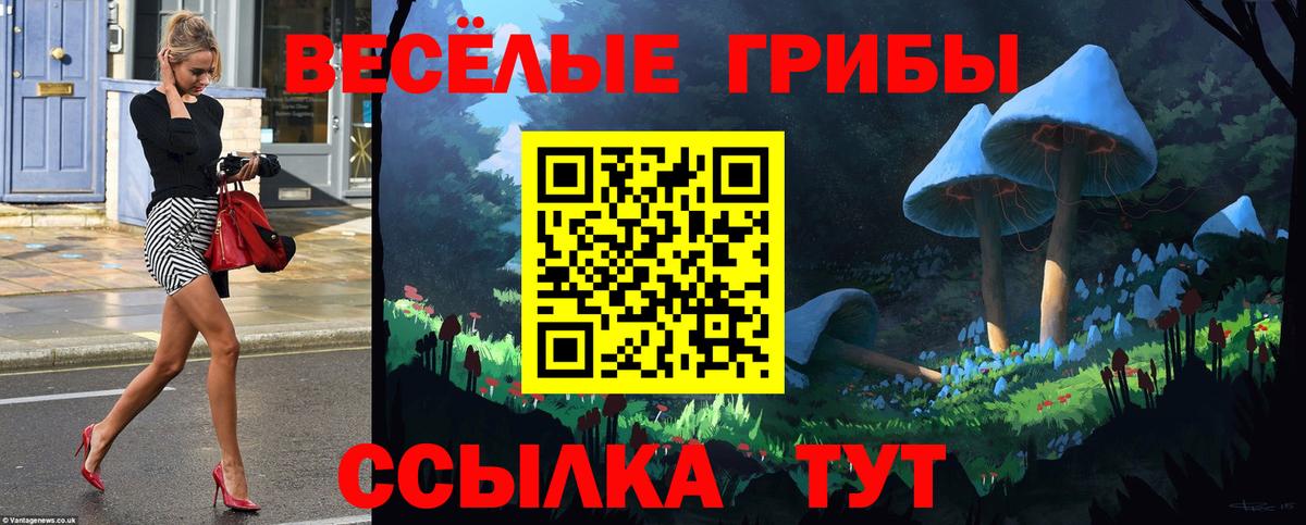 Галлюциногенные грибы ЛСД  Вход с VPN  Новочеркасск 